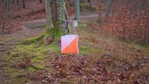 Control Point Scoring Marker at Foot Orienteering Competition Event Stock Footage 295991594
