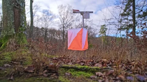 Control Point Scoring Marker at Foot Orienteering Competition Event Stock Footage 296015500