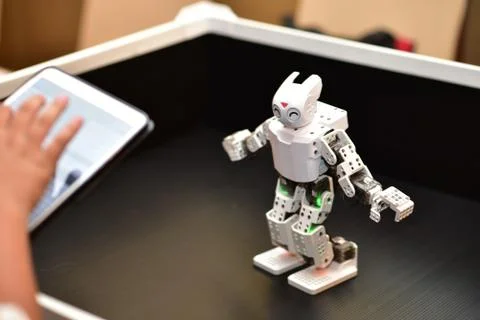 Control a Robot.Move a Robot and learn science Technology. 스톡 사진