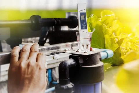 Control work for suitable liquid fertilizers Stock Photos