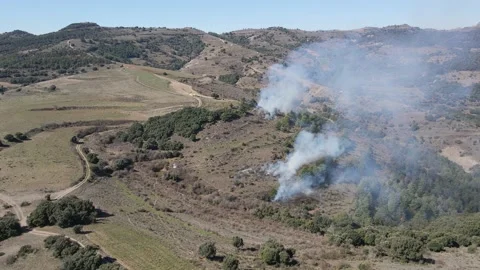 Controlled and prescribed forest fire. Flames and smoke clouds. Aerial drone. Stock Footage 157158054
