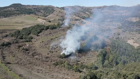 Controlled and prescribed forest fire. Flames and smoke clouds. Aerial drone. Stock Footage 157158059