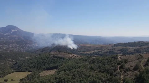 Controlled and prescribed forest fire. Flames and smoke clouds. Aerial drone. Stock Footage 157158624