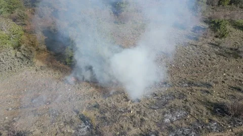 Controlled and prescribed forest fire. Flames and smoke clouds. Aerial drone. Stock Footage 157158890