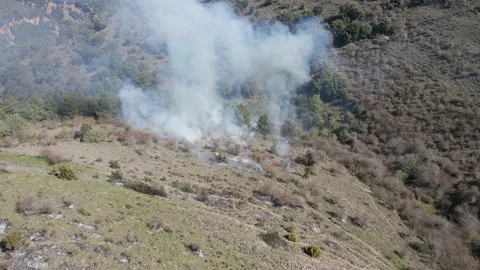 Controlled and prescribed forest fire. Flames and smoke clouds. Aerial drone. Stock Footage 157159468