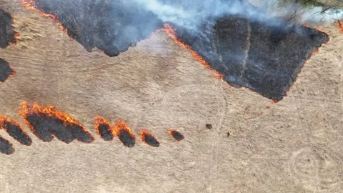 The Controlled Burn of a Field for an Approaching Forest Fire Stock Footage 306857170