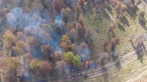 Controlled Burn, fire and smoke in the woods seen from the air Stock Footage 43737847