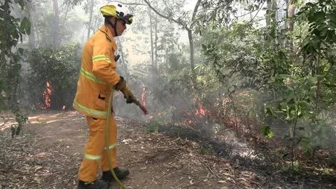 Controlled Burn - Firefighter extinguishes fire Stock Footage 162441244