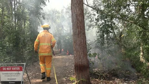 Controlled Burn - Firefighter walks into burn area with hose Stock Footage 162440023
