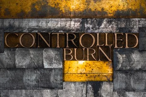 Controlled Burn Stock Illustration