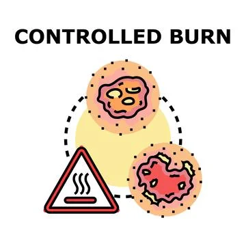 Controlled burn vector icon illustrating fire management Stock Illustration