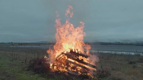 Controlled burn in vineyard at dusk, Central Otago, New Zealand. Stock Footage 342035010