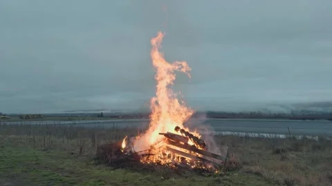 Controlled burn of vineyard pruning waste, Central Otago, New Zealand. Stock Footage 342035237