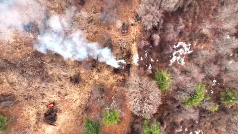 Controlled burn in winter forest, with thick smoke drifting over snow patches Stock Footage 332986550