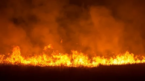Controlled burning at night with fire heading towards camera Stock-Footage 94592563