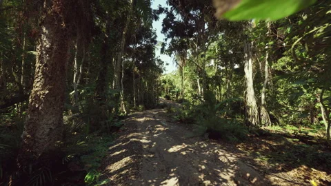 Controlled environment with carefully planned biological data collection points Stock Footage 329542866