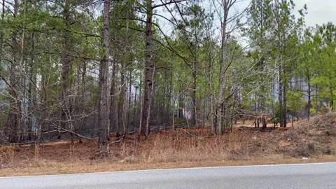 A controlled fire burn in the forest in rural Georgia 2021 Stock Footage 148837183