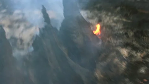 Controlled Fire Burn in the Woods Stock Footage 231245183