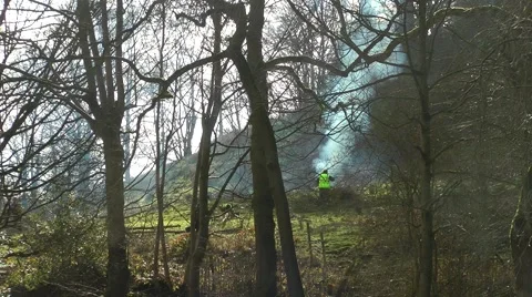 Controlled fire in forest woodland clearing forestry Stock Footage 47403002
