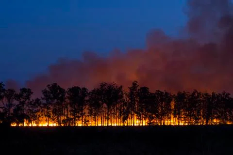 Controlled fire Stock Photos