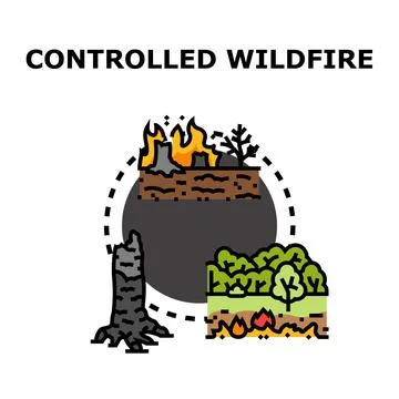 Controlled wildfire management process for forest preservation Stock Illustration