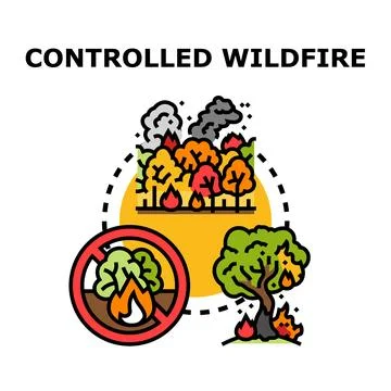 Controlled wildfire prevention strategy minimizing forest ecology damage Stock Illustration
