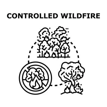 Controlled wildfire prevention strategy minimizing forest ecology damage Stock Illustration
