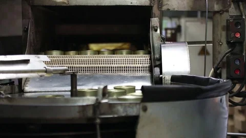 The controller checks the quality of canned fish and distributes  Vídeo Stock 69780058