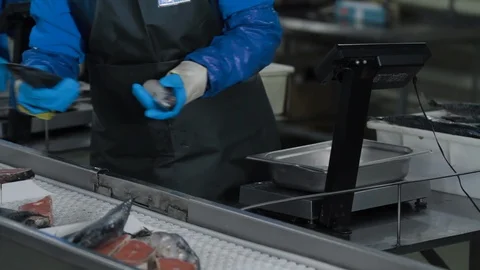 The controller checks the quality of canned fish and distributes it on a Stock Footage 121458860