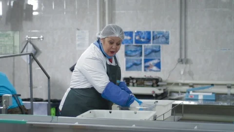 The controller checks the quality of fish and distributes it on a conveyor belt Vídeo Stock 125828395