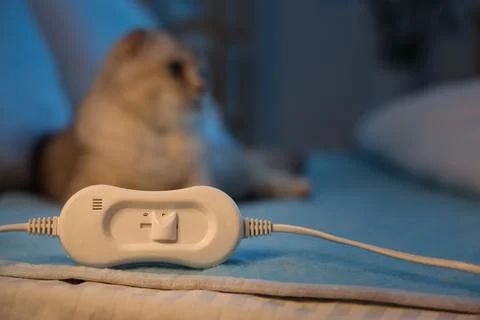 Controller of electric heating pad against cute lop-eared cat in bedroom at n Stock Photos