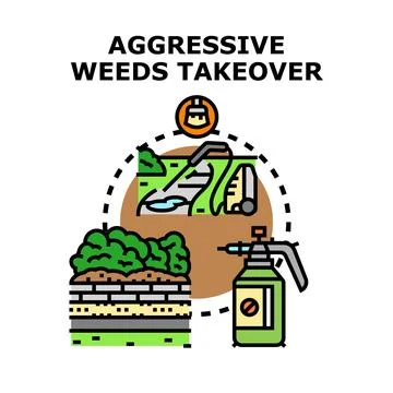 Controlling aggressive weeds preventing takeover in garden landscape Stock Illustration