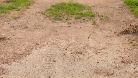 Controlling of drone or small Quadcopter. Stock Footage 106275993