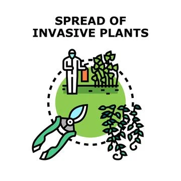Controlling invasive plants spreading in environment and garden Stock Illustration