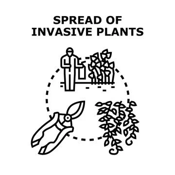 Controlling invasive plants spreading in environment and garden Stock Illustration