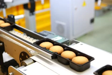 Controlling the work of huge conveyor machine producing spice cakes at the co Stock Photos