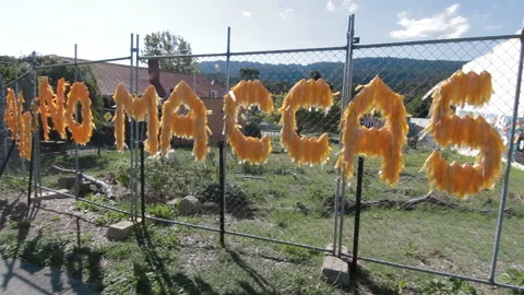 CONTROVERSIAL SITE OF TECOMA MCDONALDS STORE, TECOMA, AUSTRALIA 2013 Stock Footage 243901142
