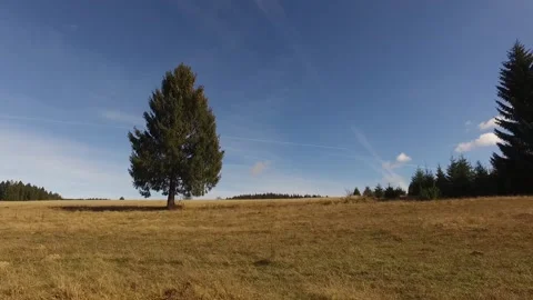 Contryside Stock Footage 143393593