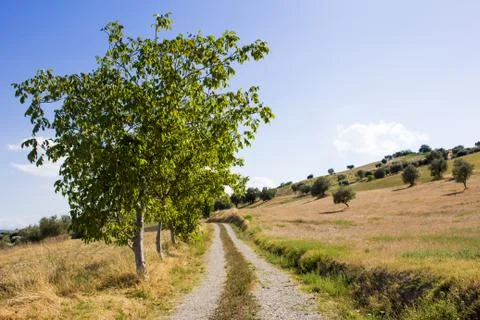 Contryside Road Stock Photos