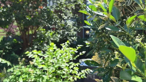 Convenience store front at Sunoco gas station with graffiti above Stock Footage 323967172