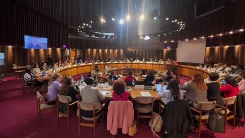 Convention of Belém do Pará turns 30 and the fight against gender violence conti Stock Footage 277308012