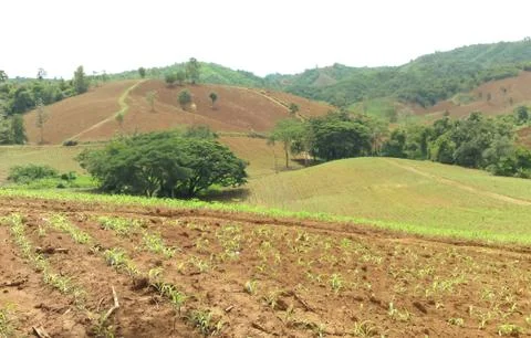 Conventional farming on the mountain Stock Photos