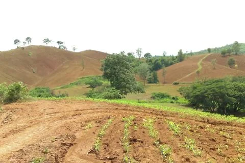 Conventional farming on the mountain Stock Photos