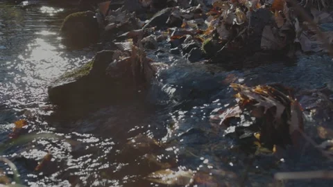 Convergence of Two Small Streams of Water Vídeo Stock 235223394