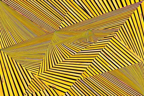 Converging lines of planks. Stock Illustration