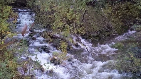 Converging  Mountain streams Stock Footage 172563384