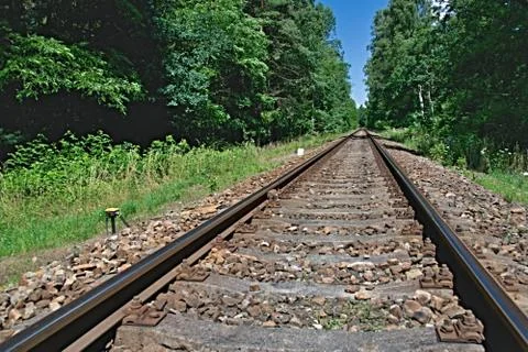 Converging track in the woods Stock Photos