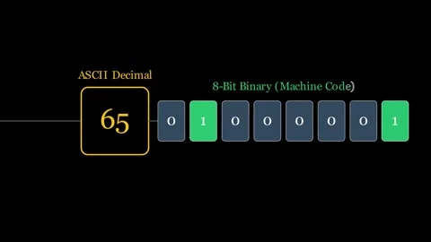 The conversion of a character into its ASCII decimal value and finally into Vídeo Stock 335764415