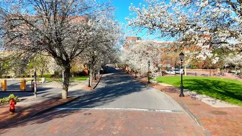 Converted Into - Syracuse, NY Photos