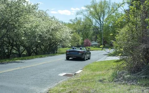 Convertible car driving through spring blossoms on sunny road. 写真素材